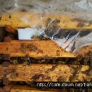 (주)신왕 이미지