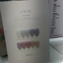 다올 손톱가게 | 진해네일 다올비니 용원점 속전속결 자석네일