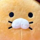생선쓰 이미지