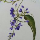 천아트 Daum카페