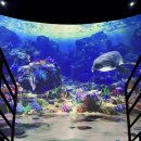 멍Mother | 아기랑 주말 실내 가볼만한곳 강원도 모나용평 이나트(INART)뮤지엄 미디어아트 전시관 방문후기 내돈내산