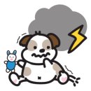 숲속애견랜드 이미지