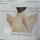 스트레칭 요가 이미지