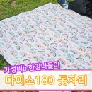 다이소돗자리추천 뚝섬한강공원 피크닉 준비물