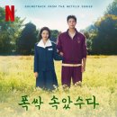 2025년 한국 드라마 TOP 11 이미지