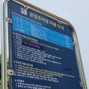 문성초등학교 앞 이미지