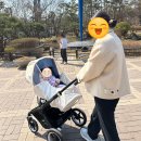 쑥쑥한우농장 | 임신일기10(26-27주차)