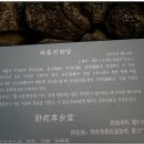 와흘본향당 이미지