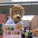 라이온 태권도장 이미지