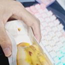 Fang PC방 이미지