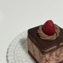 라희쇼룸
