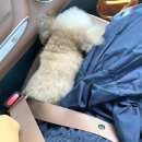 고양 플랜테이션 일산 플랜테이션 내돈내산 리얼후기!!