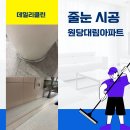 뉴대림공인중개사사무소 | 경기도 고양시 원당대림아파트 줄눈시공 다녀왔습니다.