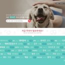 품(Pooom)
