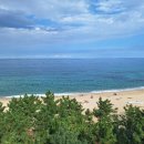 바다정원 이미지