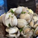 맛짱조개 - 강남구 언주로134길 18 | 맛짱조개