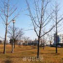 석문산단1 이미지