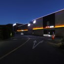 댕댕이샾 이미지