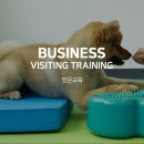 신정애견미용 이미지