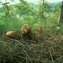 정봉아농장 이미지