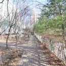 파크뷰부동산공인중개사사무소 이미지