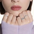 플래티늄 투어