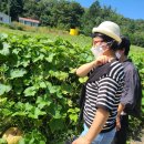 승지농장 이미지