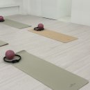 여성전용 베이핏 PT&그룹트레이닝 둔촌점 이미지