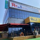 펫넘버원 이미지