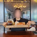 거성태권도장 | [주간일기 챌린지] 열두 번째 일기