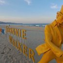 나인비치37 이미지