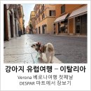 사철기사식당 | [강아지 유럽여행-이탈리아 베로나 ] Verona 첫째날 DESPAR 마트에서 장보기, 무인계산 오류, 베로나여행