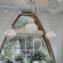 씨엘투어 | 대전 씨엘드레브 웨딩홀 투어 후기💍|27년 하반기 예식(견적후기)