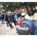 함양네파 이미지