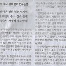 위성Q 이미지