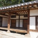 방학동 은행나무 이미지