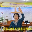 방방나라 - 보성군 태백산맥길 31 | 방방나라