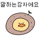 미끌림 헤어샵 네이버블로그