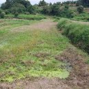 남해-166 이미지