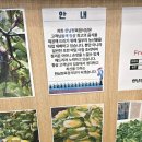 한남정육점 이미지