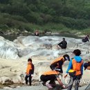 무릉도원면-11 이미지