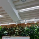 무학숲도서관 이미지