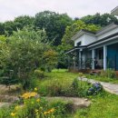 산아래 민박 이미지