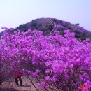 강화군농업기술센터 이미지