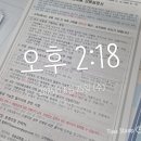 비투알 | 남영역 맛집 - 본투비 마늘치킨, 털보네떡꼬치 후기