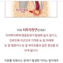 닥터정 동물병원 | 착한병원 송도에 위치한 [닥터정동물병원] 추천하고 싶은 병원♡♡