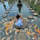 동부산악권 투어 2 | 발리 동부투어 코스 렘푸양사원 띠르따강가 라항안스위트 후기 팁