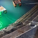 손으로 전해오는 아름다운 우리 매듭 | 251019 경남 삼천포 주꾸미 출조 후기 + 주꾸미 에기 컬러, 채비 정보 - 10월 중순 주꾸미 조황 괜찮은데?