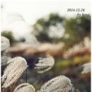 창영농원 이미지