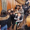 하남국술원합기도 이미지